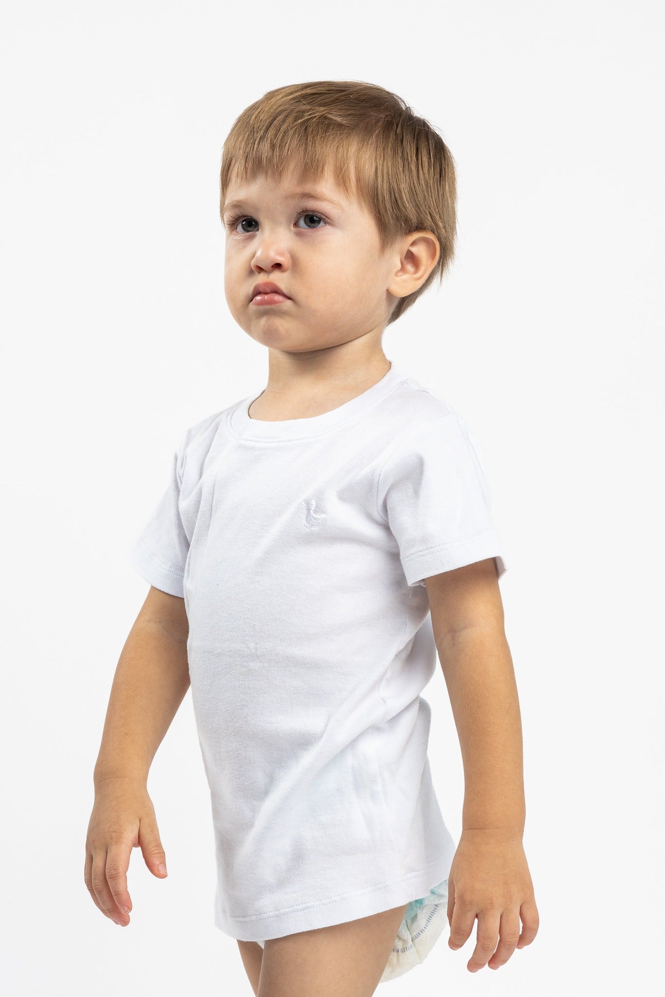 Toddler Tshirt (set of 2)